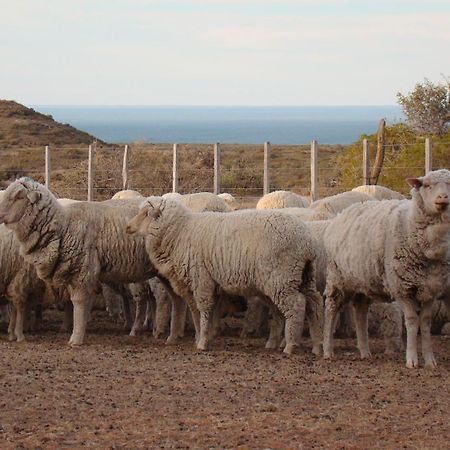 La Antonieta Estancia De Mar Dos Pozos Εξωτερικό φωτογραφία