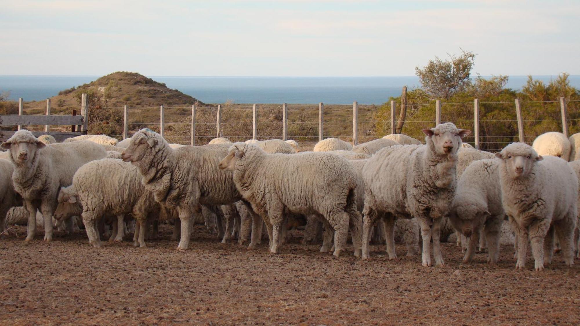 La Antonieta Estancia De Mar Dos Pozos Εξωτερικό φωτογραφία