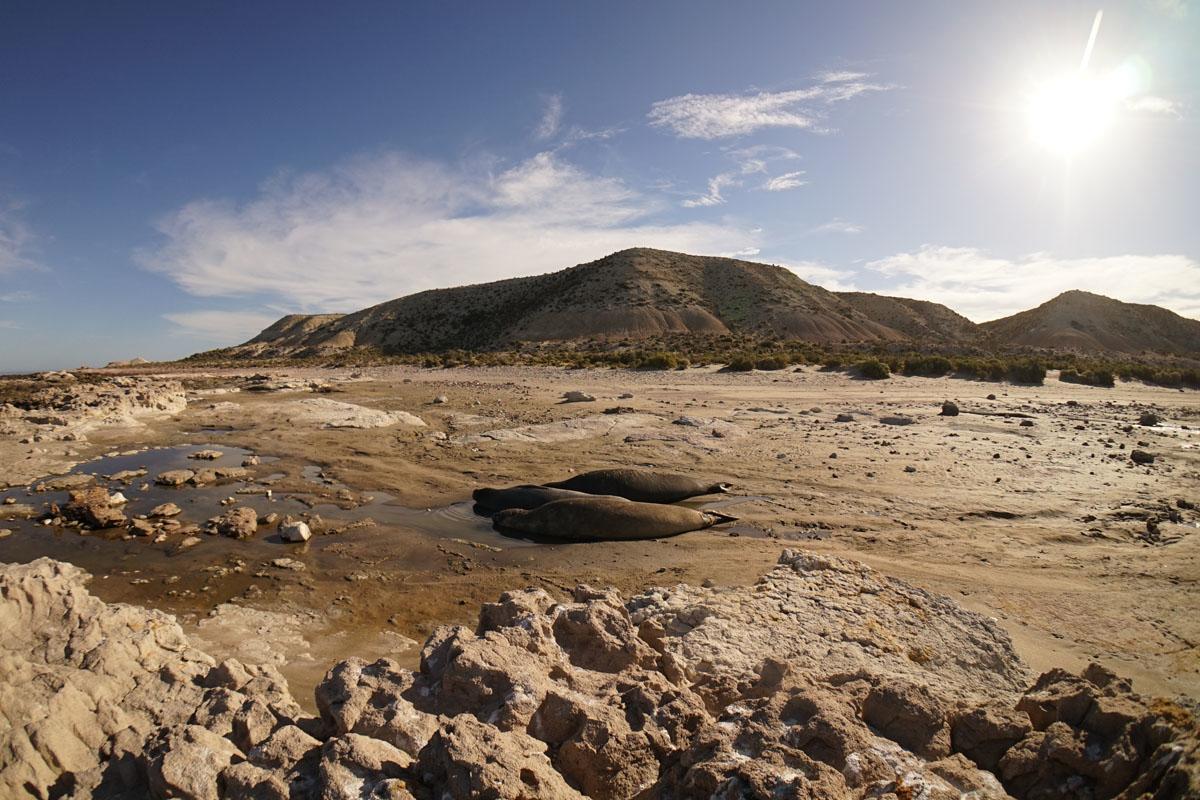 La Antonieta Estancia De Mar Dos Pozos Εξωτερικό φωτογραφία
