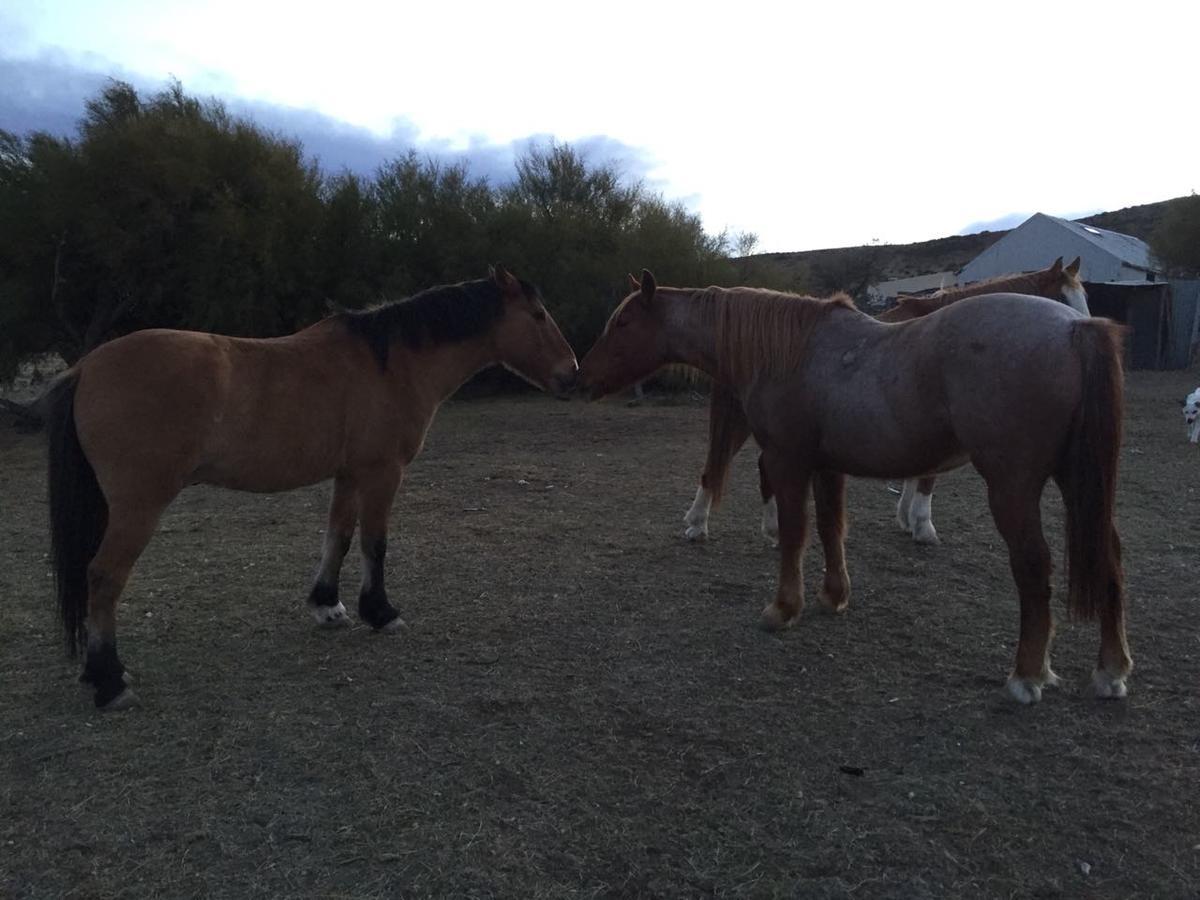 La Antonieta Estancia De Mar Dos Pozos Εξωτερικό φωτογραφία