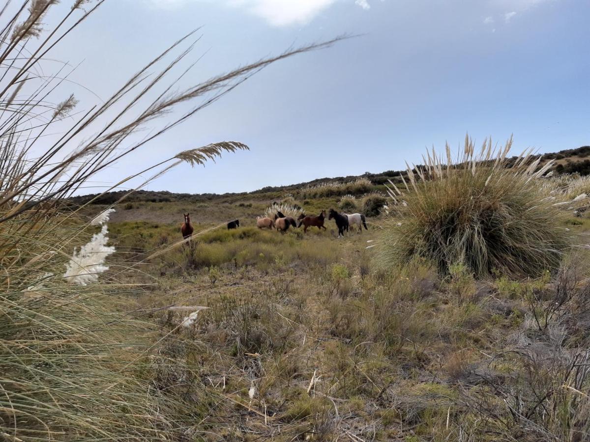 La Antonieta Estancia De Mar Dos Pozos Εξωτερικό φωτογραφία